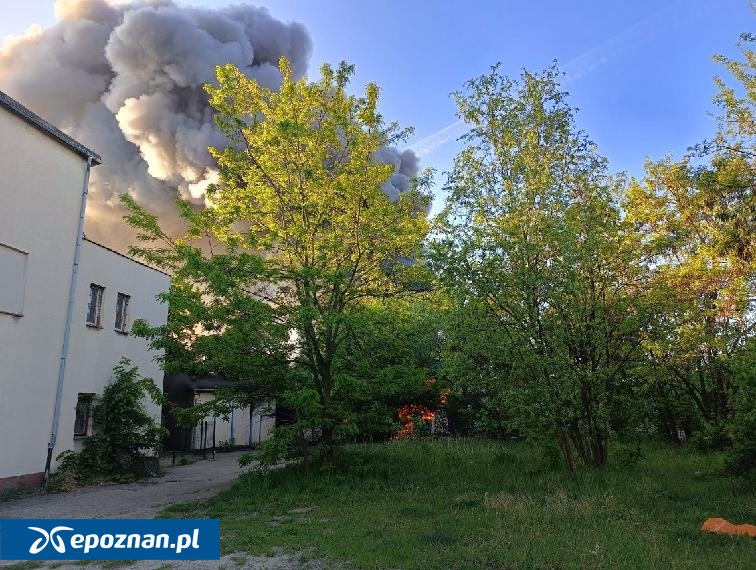 Poranny pożar w Poznaniu i wielki dym widoczny z daleka. Przebywały tu osoby bezdomne